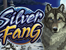 Silver Fang от Microgaming – играть онлайн